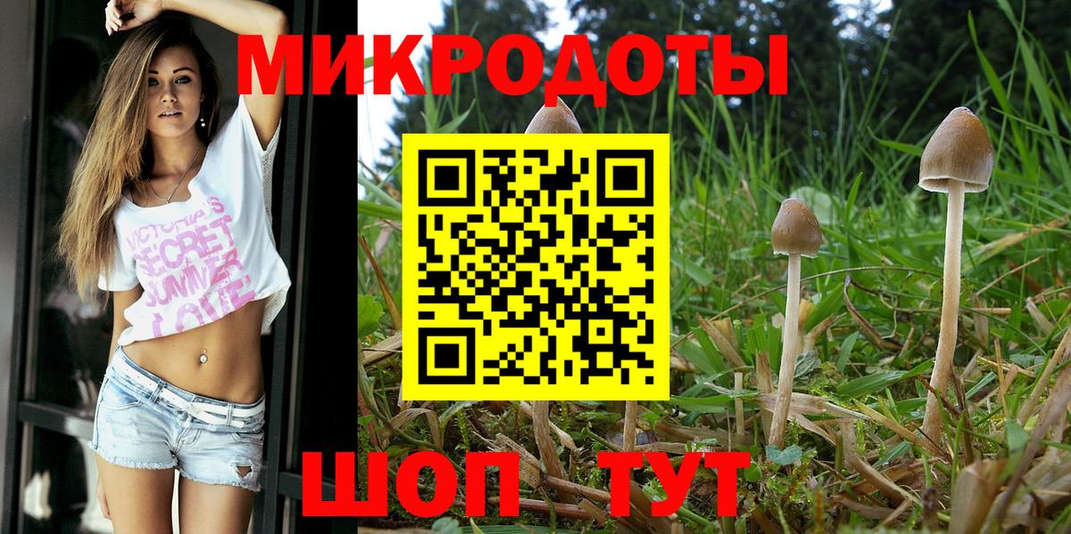 Псилоцибиновые грибы мухоморы  Псилоцибиновые грибы мицелий  Карталы  Вход с VPN 