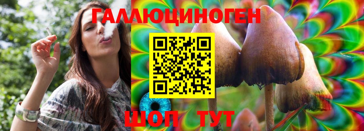 Псилоцибиновые грибы GOLDEN TEACHER Карталы